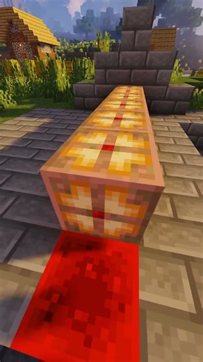 Minecraft Roller Coaster Secrets Revealed!