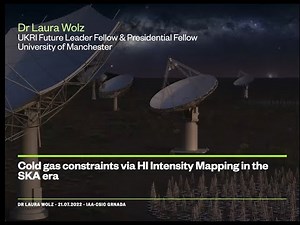 Dr. Laura Wolz: Cold gas constraints via HI Intensity Mapping in the SKA era