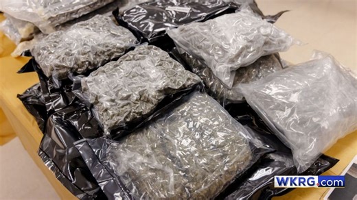 Drugs, guns and 142 arrests: Inside Mobile County's 90-day drug sweep | WKRG.com