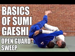 The Basics of Sumi Gaeshi (BJJ Butterfly Guard Sweep)