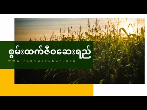 'စွမ်းထက်ဇီဝဆေးရည်' (Jiv Amrit)