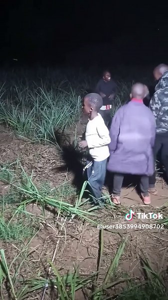 Devydevy (@user3853994908702)’s videos with original sound - Devydevy