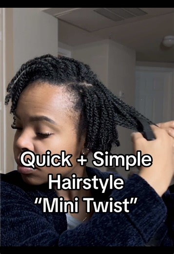 Quick and Simple Mini Twist Hairstyle for Natural Hair