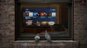 DIRECTV TV Spot, 'For the Birds: Window'