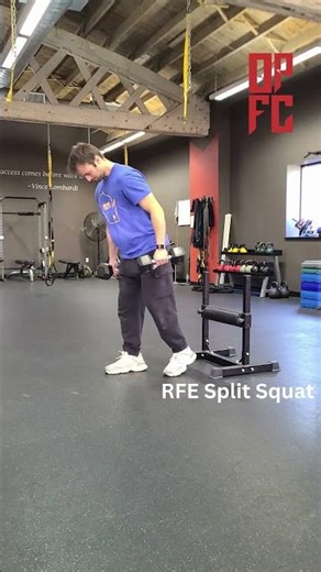 RFE Split Squat