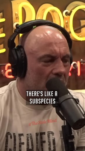 Joe Rogan on the 'Bondo Ape' Lion Killer Chimp | Rogan Return