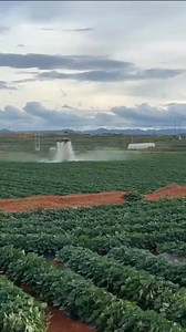 5.6K reactions · 231 shares | Drone farming and artificial intelligence agriculture technology | Zortrax Agriculture Corporation | Facebook