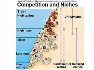 Ch. 5: Evolution of Biodiversity