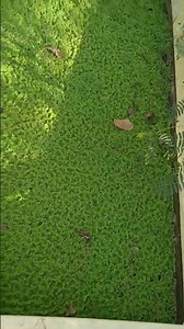 5 มีนาคม ค.ศ. 2026