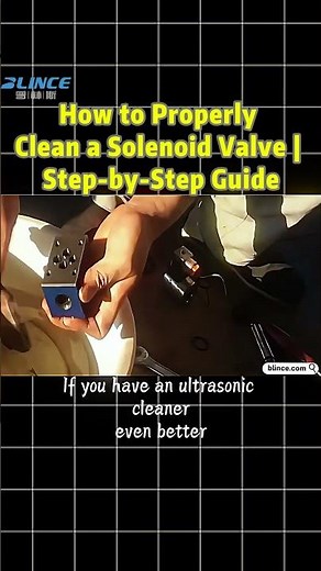 How to Clean a Solenoid Valve Properly | Step-by-Step Hydraulic Maintenance Guide #blince