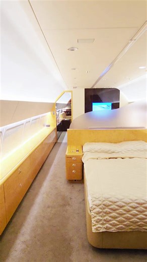 Experience a VIP Corporate Jet Tour Inside