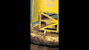 Heartwarming moment passing anglers rescue python stranded in sea