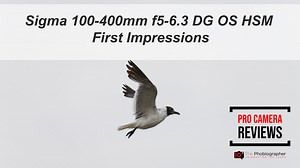 The New Sigma 100-400mm for Sony FE Makes Us Really Wonder