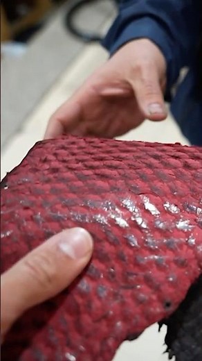 جلد السمك الطبيعي #اكسبلور