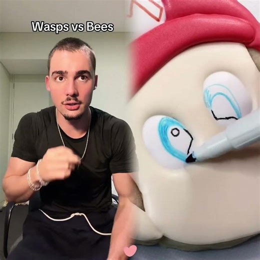 #wasp #bee #bug #relatable #australia
