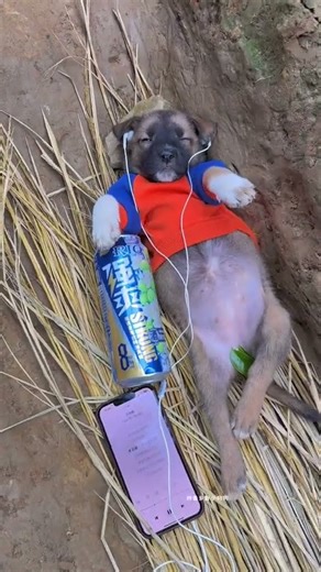 People, they all don’t understand Wang, only the spirit liquid understands Wang! RIO strong refresh