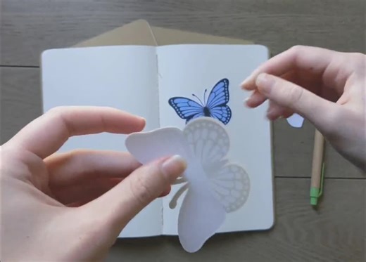 Cat Tight Rope - Clear Vinyl Stickers - Etsy