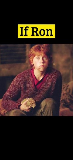 Harry Potter Theory: The Significance of Crookshanks and Scabbers