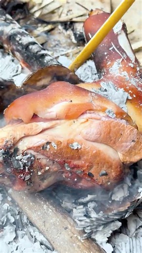 Roasting Pork in a BEER Box is GENIUS