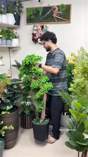 456 reactions · 13 shares |  Limited Stock Alert!  Our beautiful...