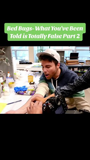 Bed Bugs- What You've Been Told is Totally False Part 2 #foryou