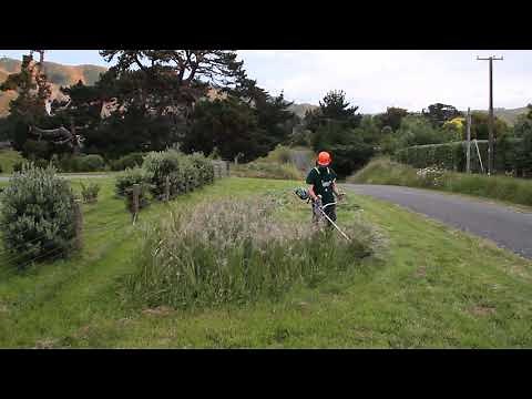 EGO Power+ BC3800E brush cutter tackles tough irises