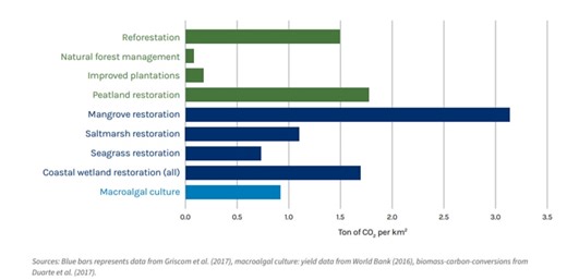 These blue carbon ecosystems could slow climate change