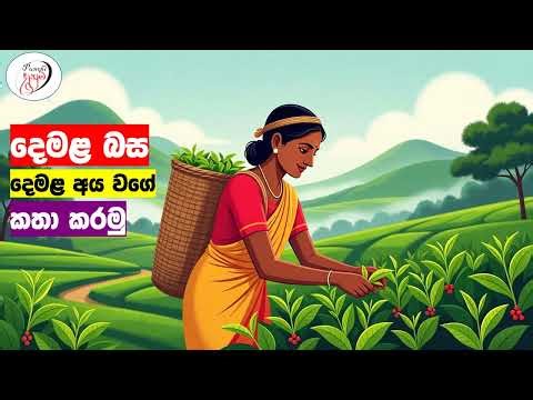 අපි දෙමළ කතා කරමු - මූලික පාඩම් | Let's Speak Tamil! - Basic to Advanced Lessons" | Punchi Danuma