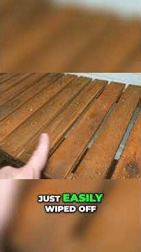 Waterproof Test: See This Bench's Amazing Performance! #shorts