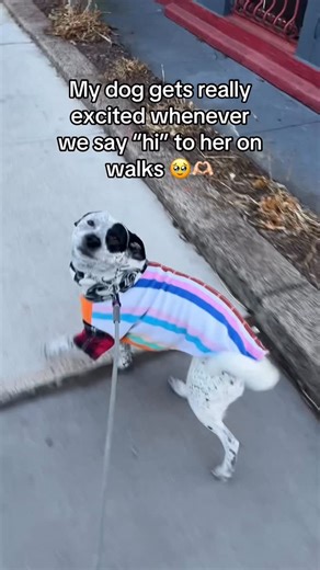 Alexa | Dog Mom in NYC on Instagram: "There is nothing cuter than that lil wiggle butt 🥹"