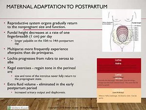Post Partum