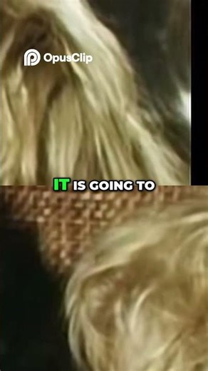 Queen's 'Night at the Opera' Peak Success & Bohemian Rhapsody | RARE INTERVIEW