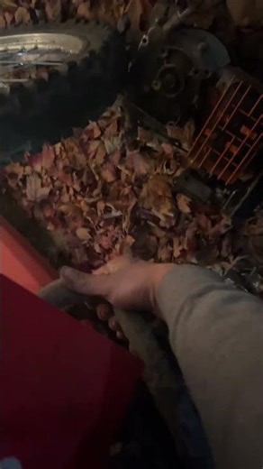 2017 Hawk 250 cold start