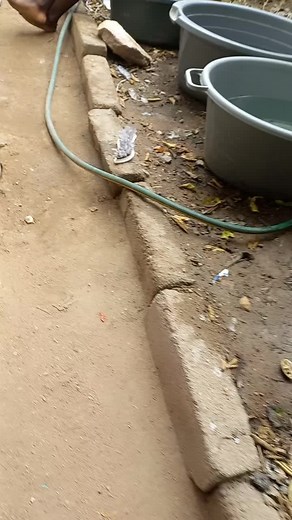 Inviting Everyone to Deme's Hosted Party in Beitbridge