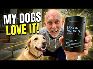 Dog Is Human Multivitamin Review: Is It Worth It?