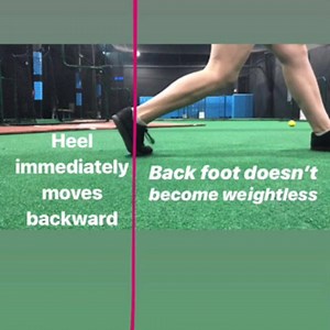 22K views · 51 reactions | What exactly is squishing the bug?  This...