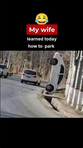 Perpendicular parking 😄 funny