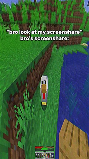 Minecraft Screenshare Moment