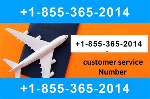 【Asiana Airlines】™️®️ Official Customer Service | 24/7 Live Help & Support Guide