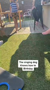 Happy birthday to meeeeee birthday singingdog SyncYourMiO happy... | Mss Pam