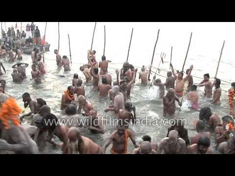 Naga Sadhus cluster for Shahi Snan at Triveni Sangam : Kumbh Mela
