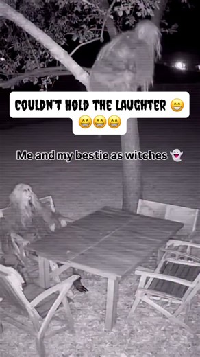 What A Laughter 😁😁😂 | Shibambu Disencumber Obdurate