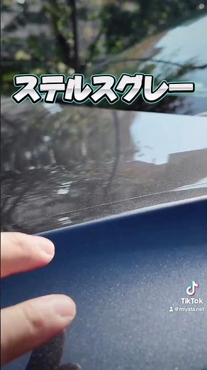 【新型モデル3】ハイランドの新色ステルスグレー #テスラ #新型モデル #モデル3 #ハイランド #電気自動車 #tesla #model3 #newmodel #ev #stealthgray