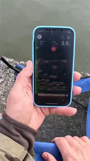 Intelligent fishing sonar