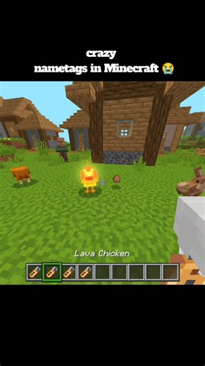 insane and crazy name tags minecraft