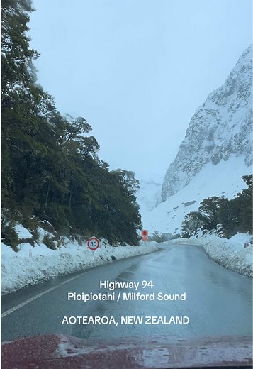 Exploring Fiordland National Park: Scenic Milford Sound Drive
