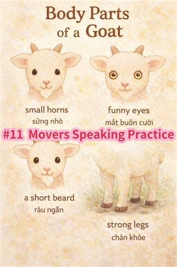 #11 Describe a Goat 🐐 | Movers Speaking Practice