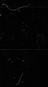 Sites for free online education. . . . . . . #chatgpt4 #contentcreationtips#chatgpt4 #contentcreationtips #contentcreation #viralréel #manychat #aitools #automation #aiautomation #bestaitools #beehiiv #digitalmarketingtools #writingtools #reelsviral #chatgpt #seotools #aitools #ai #marketingtools #sharingTime #sharingiscaring #contentcreationtips #lifehack #tipsandtrick #usefultips #helpfultips #sharingTime #sharingiscaring #contentcreationtips #lifehack @topfans i Social You | Digital world