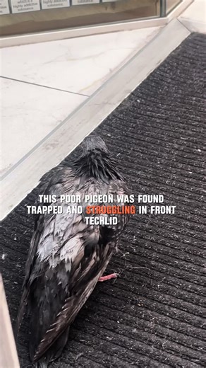 Essential Tips for Weather Preparedness