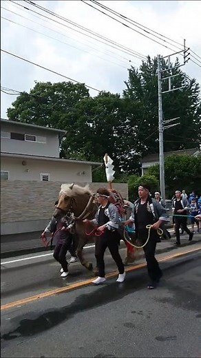神馬２回目 大間々祇園まつり みどり市 20260802 #みどり市指定重要無形民俗文化財